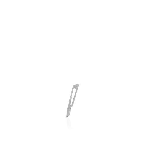 Immagine di Lame Chirurgiche Sterili Monouso mis.15 100pz