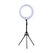 Immagine di Lampada Ring con Stativo