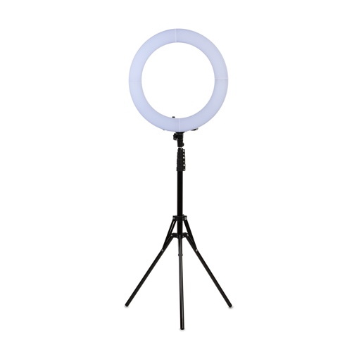 Immagine di Lampada Ring con Stativo