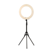 Immagine di Lampada Ring con Stativo