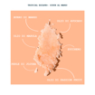 Immagine di Scrubols Sfera Singola - TROPICAL ESCAPE